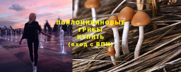 мяу мяу мука Алексин