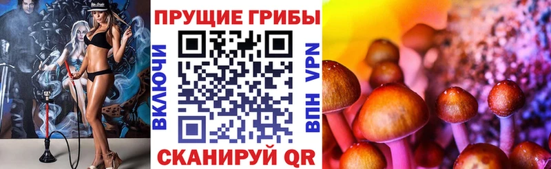 Галлюциногенные грибы Magic Shrooms  Руза 